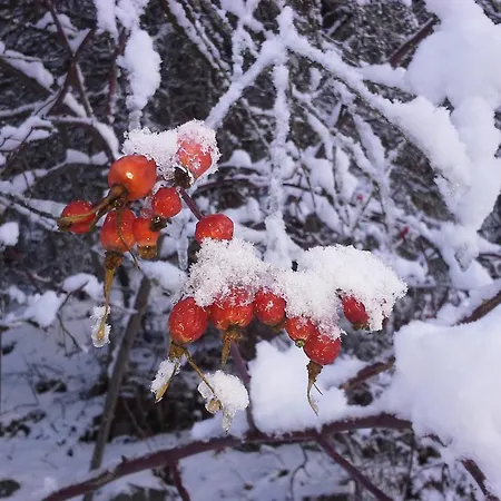 Haus Seppl * Sölden