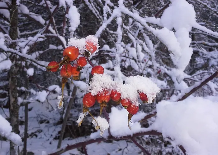 Haus Seppl * Зельден